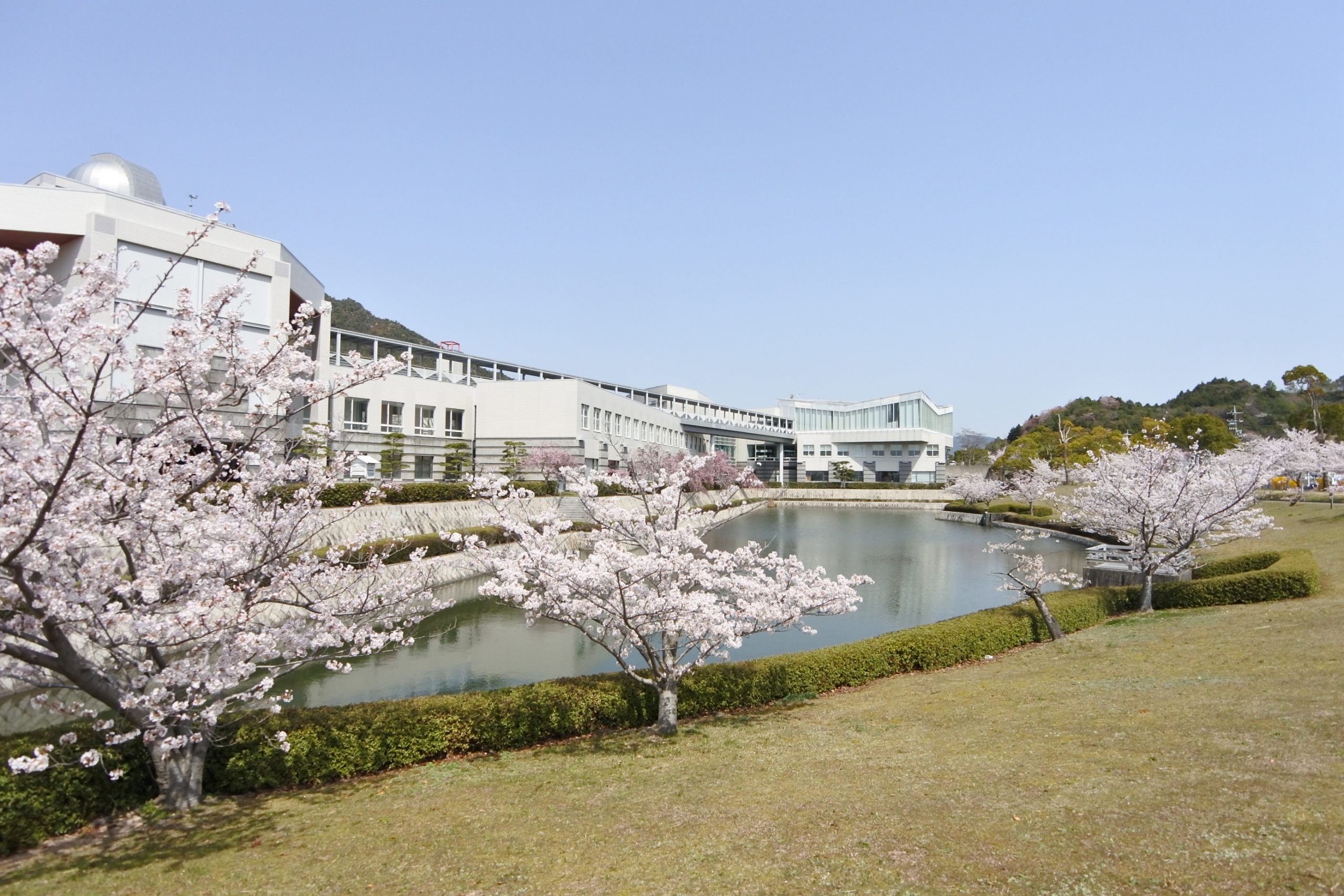 画像：エイドイメージ