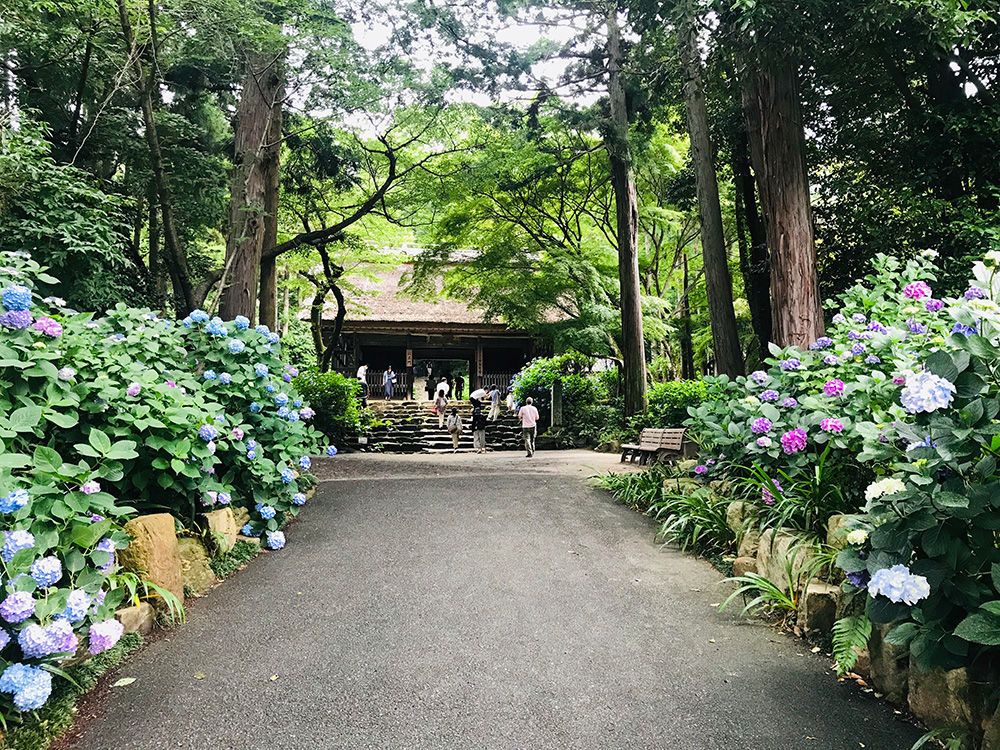 画像：エイドイメージ