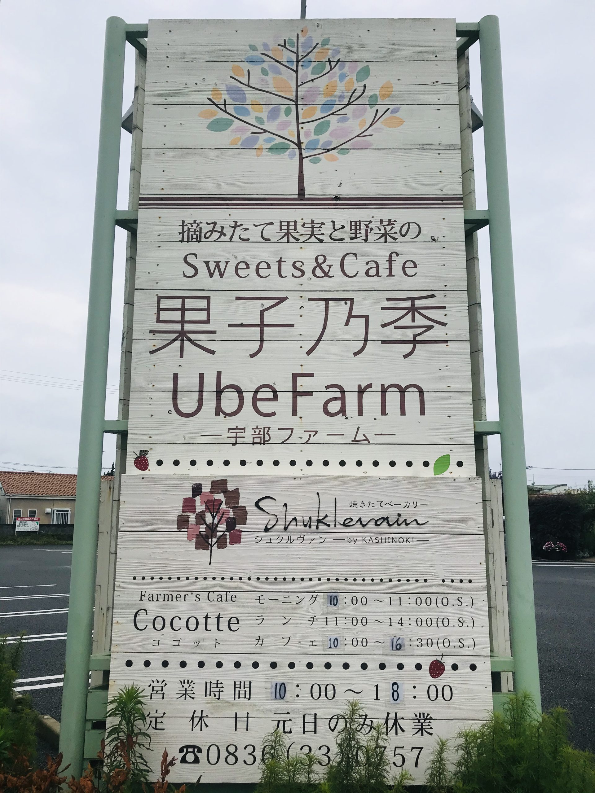 画像：エイドイメージ