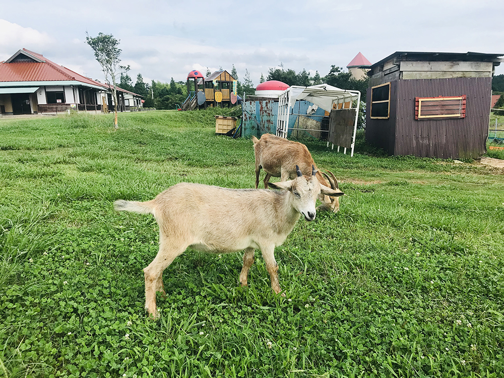 画像：エイドイメージ