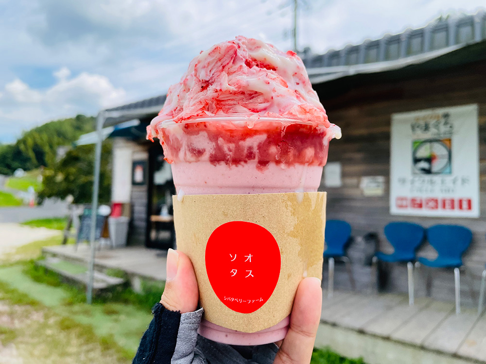 画像：エイドイメージ