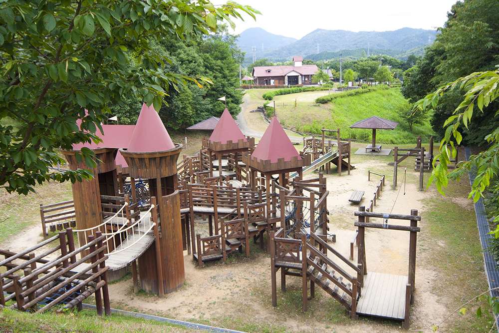 画像：エイドイメージ