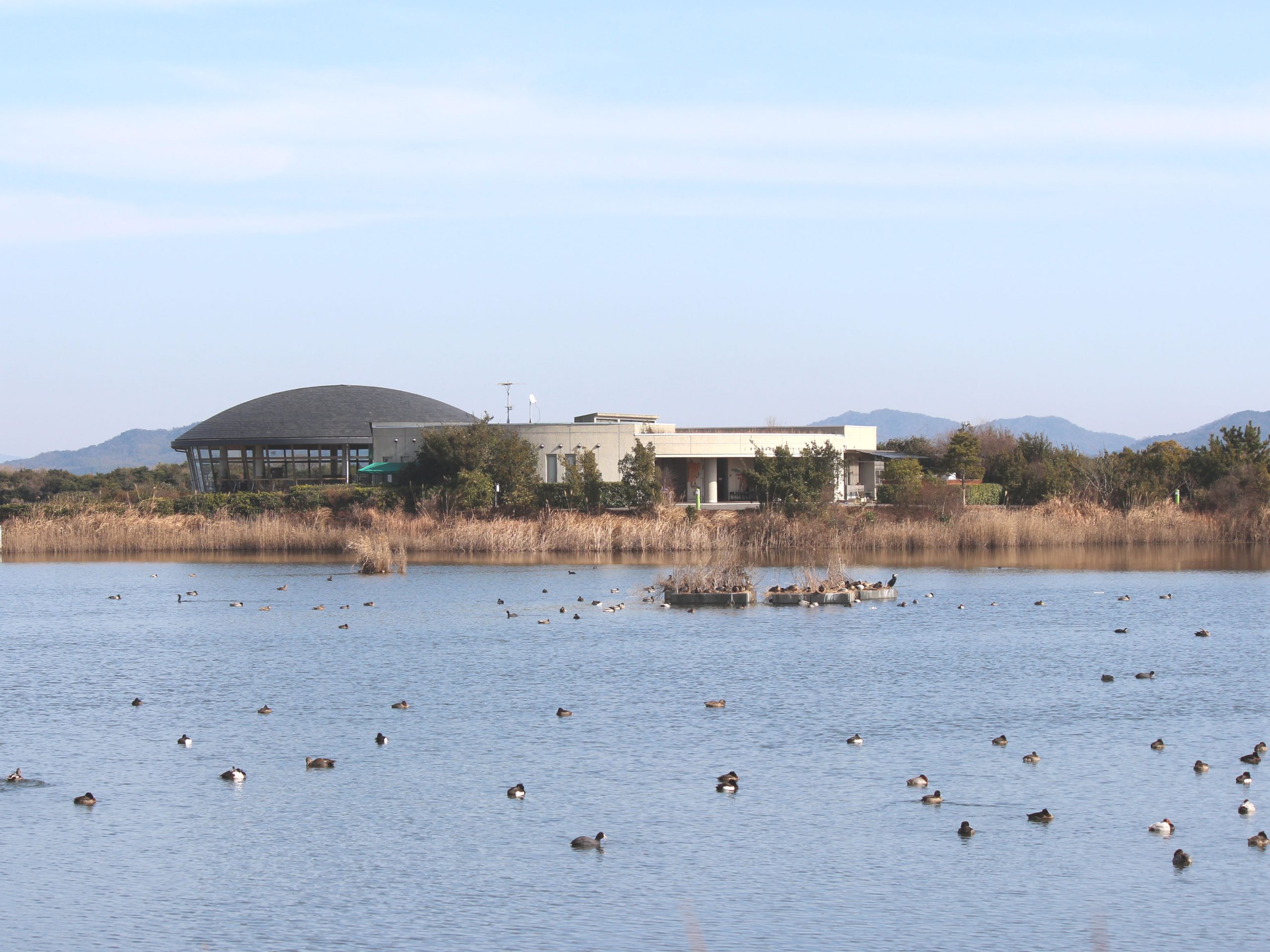 画像：エイドイメージ