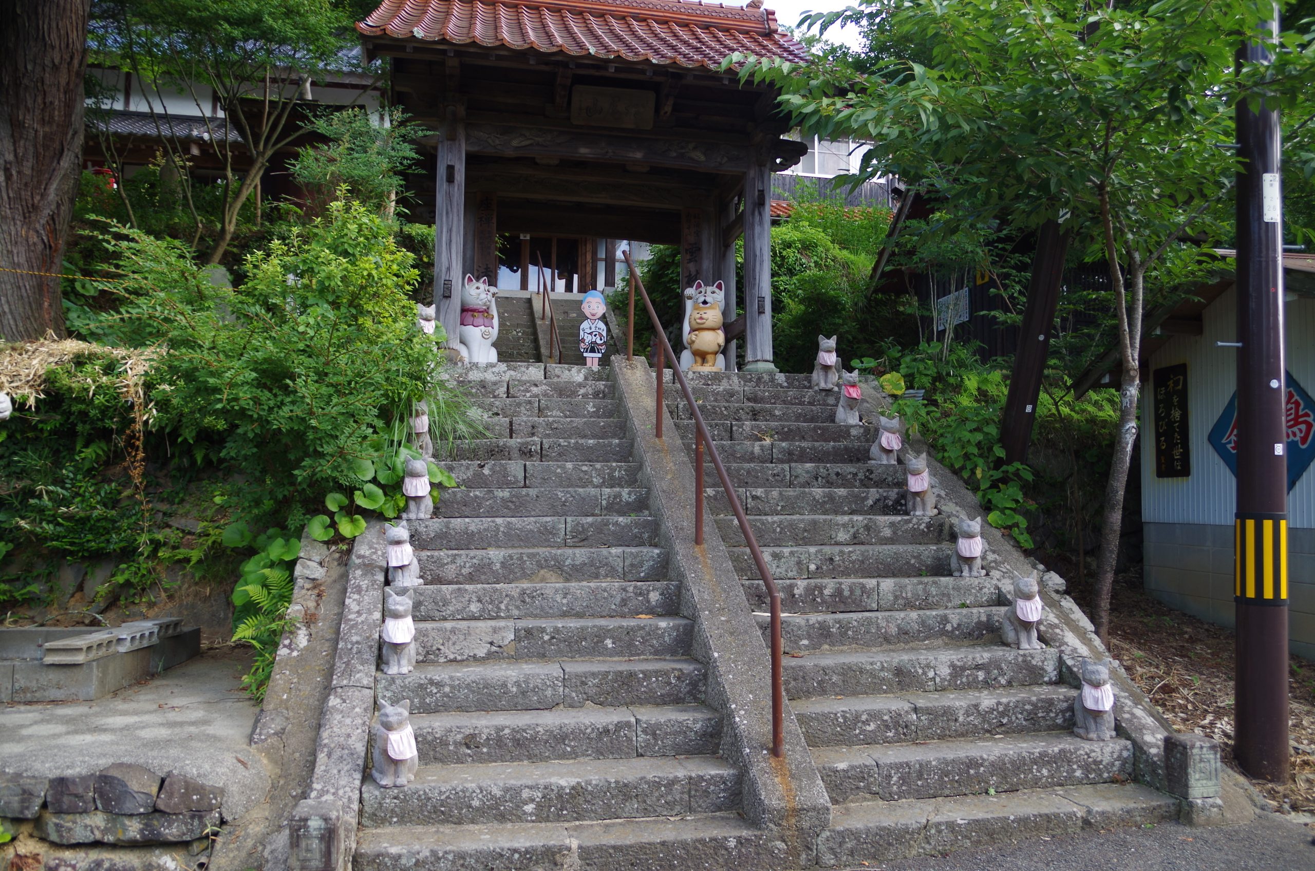 画像：エイドイメージ