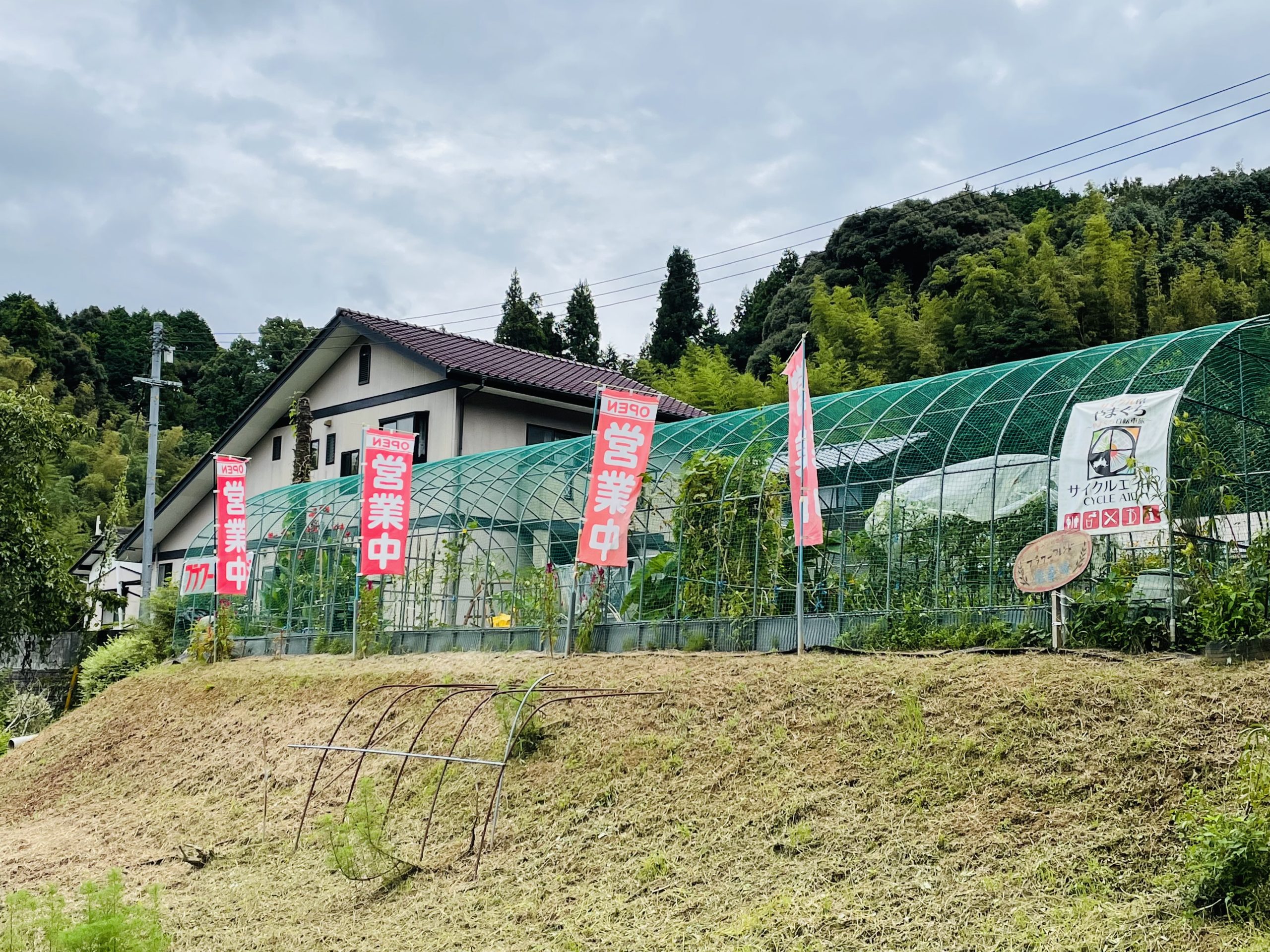 画像：エイドイメージ