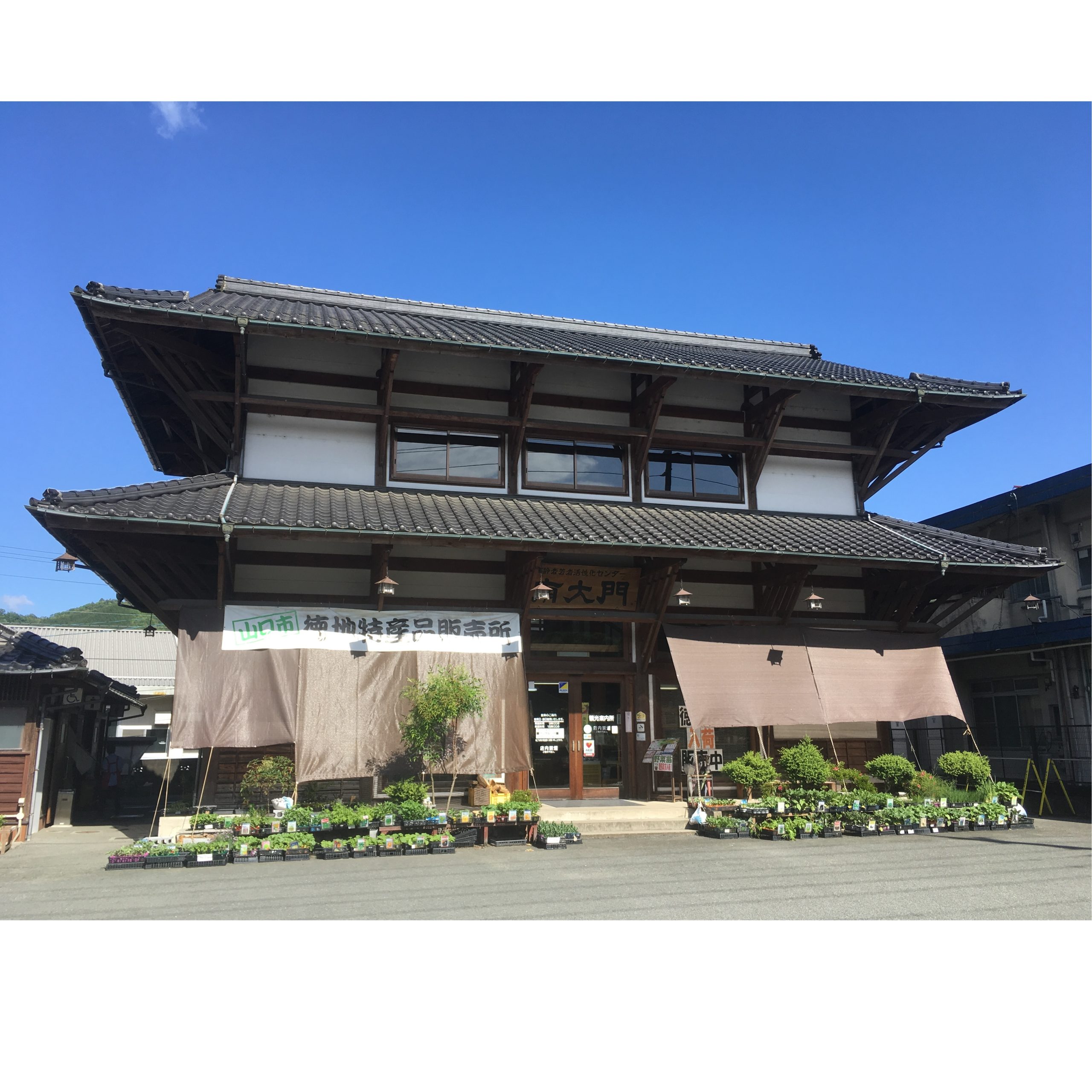 画像：エイドイメージ