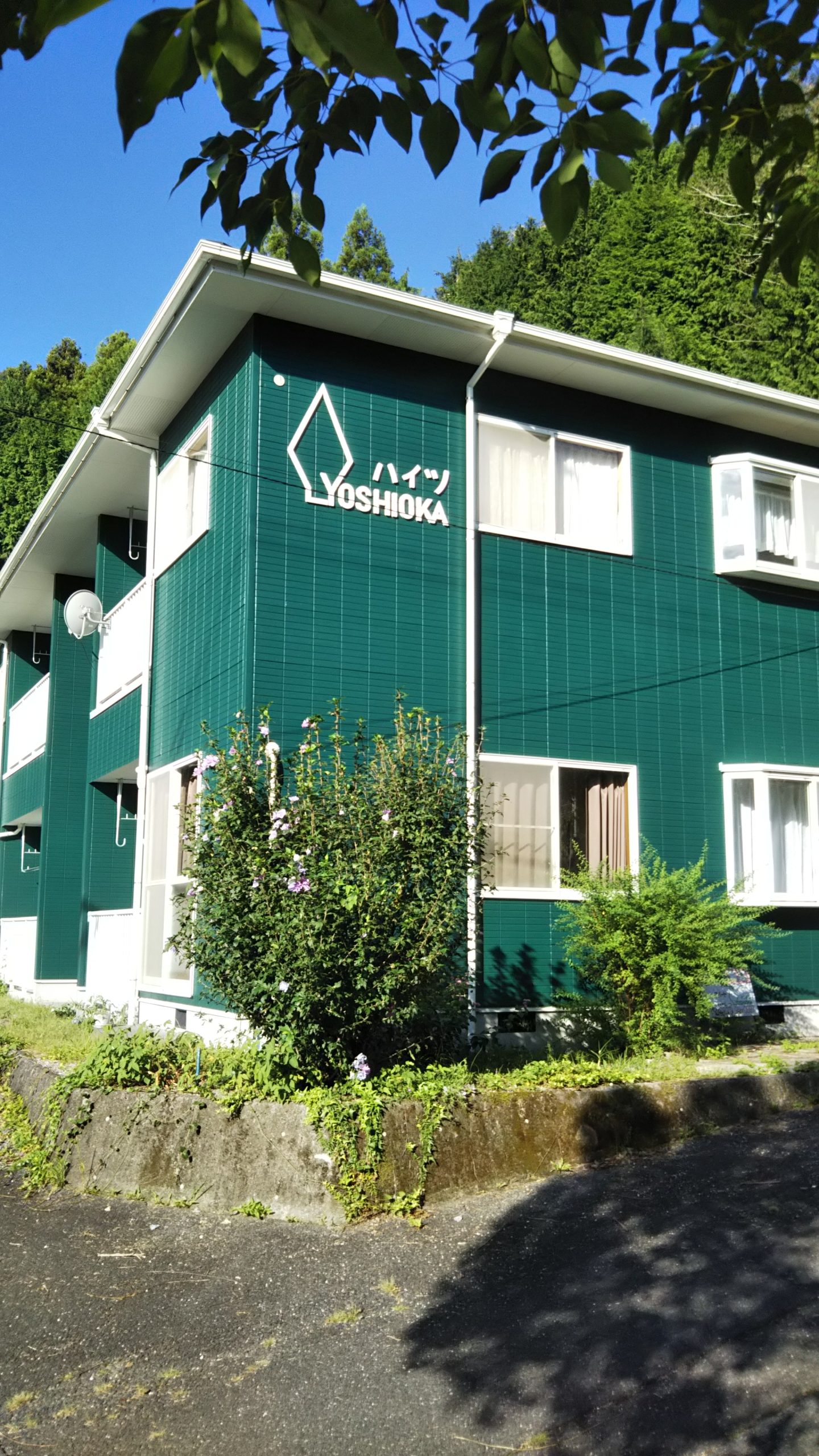 画像：エイドイメージ