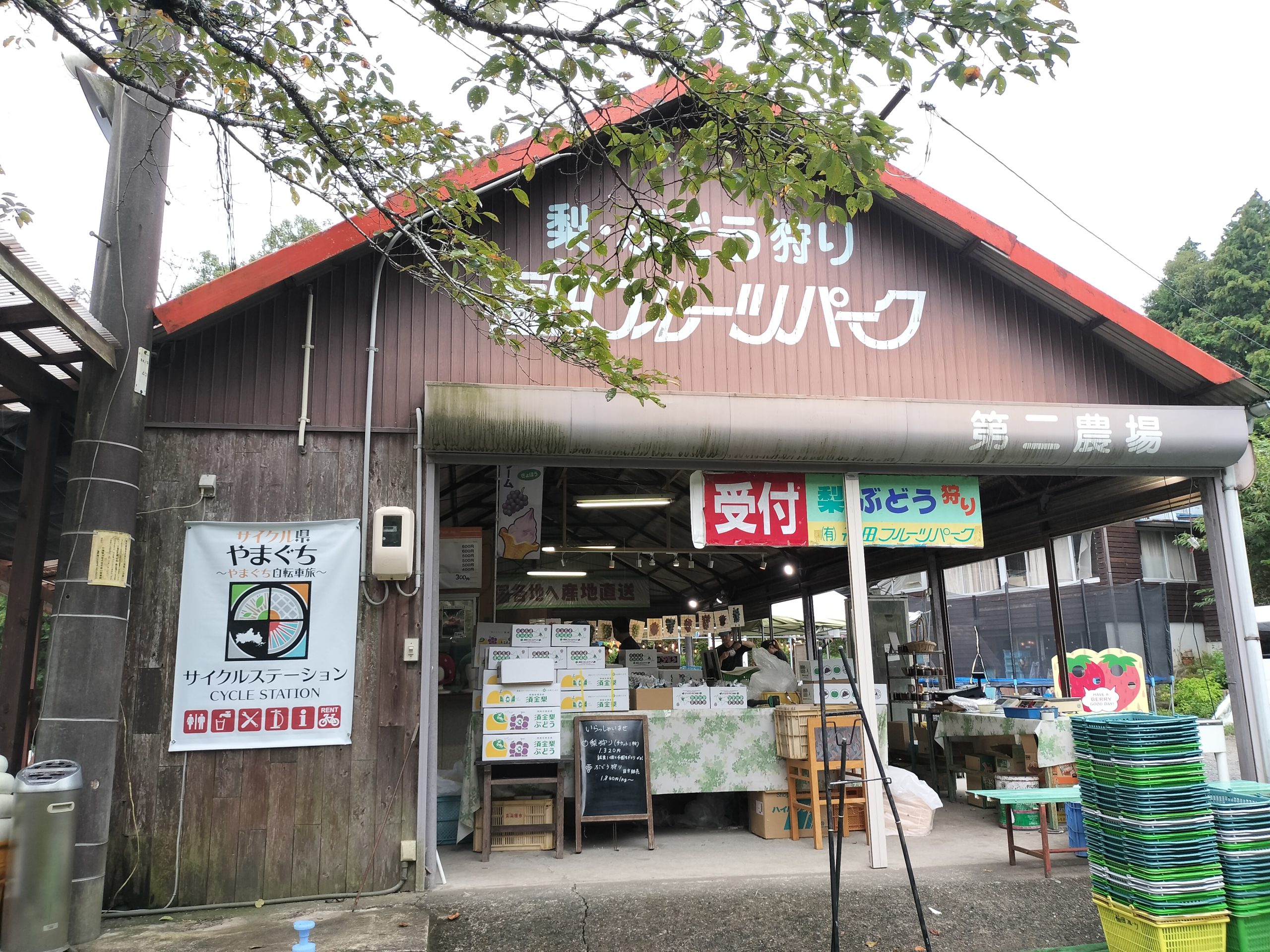 画像：エイドイメージ